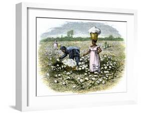 Picking Cotton on a Plantation in the Deep South, c.1800-null-Framed Giclee Print