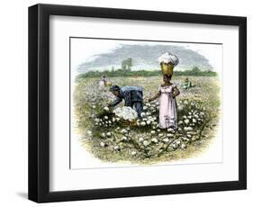 Picking Cotton on a Plantation in the Deep South, c.1800-null-Framed Giclee Print