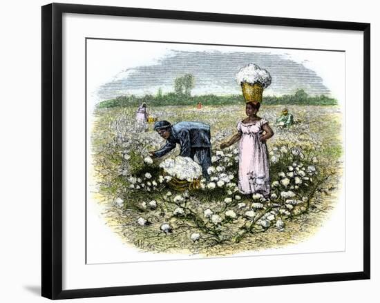 Picking Cotton on a Plantation in the Deep South, c.1800-null-Framed Giclee Print