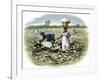 Picking Cotton on a Plantation in the Deep South, c.1800-null-Framed Giclee Print