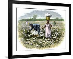 Picking Cotton on a Plantation in the Deep South, c.1800-null-Framed Giclee Print