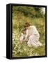 Picking Daisies, 1905-Hermann Seeger-Framed Stretched Canvas