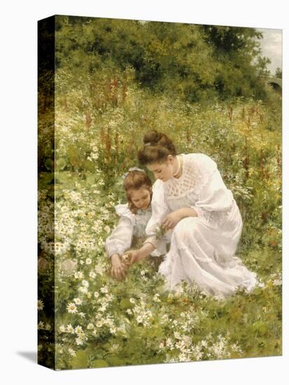 Picking Daisies, 1905-Hermann Seeger-Stretched Canvas