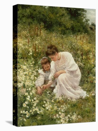 Picking Daisies, 1905-Hermann Seeger-Stretched Canvas