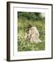 Picking Daisies-Hermann Seeger-Framed Premium Giclee Print