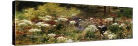 Picking Daisies-Charles Courtney Curran-Stretched Canvas