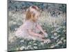 Picking Daisies-Paul Gribble-Mounted Giclee Print