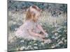 Picking Daisies-Paul Gribble-Mounted Giclee Print