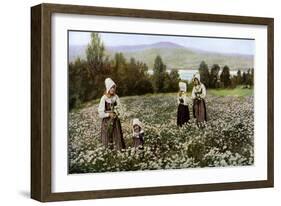 Picking Flowers in a Meadow Near Leksand, Sweden, C1923-null-Framed Giclee Print