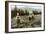 Picking Flowers in a Meadow Near Leksand, Sweden, C1923-null-Framed Giclee Print