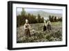 Picking Flowers in a Meadow Near Leksand, Sweden, C1923-null-Framed Giclee Print