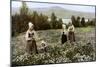 Picking Flowers in a Meadow Near Leksand, Sweden, C1923-null-Mounted Giclee Print