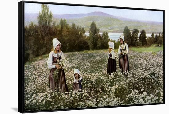 Picking Flowers in a Meadow Near Leksand, Sweden, C1923-null-Framed Stretched Canvas