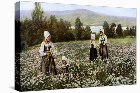 Picking Flowers in a Meadow Near Leksand, Sweden, C1923-null-Stretched Canvas