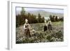 Picking Flowers in a Meadow Near Leksand, Sweden, C1923-null-Framed Giclee Print