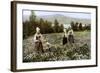 Picking Flowers in a Meadow Near Leksand, Sweden, C1923-null-Framed Giclee Print