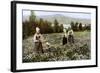 Picking Flowers in a Meadow Near Leksand, Sweden, C1923-null-Framed Giclee Print