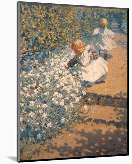 Picking Flowers-McNicoll-Mounted Premium Giclee Print