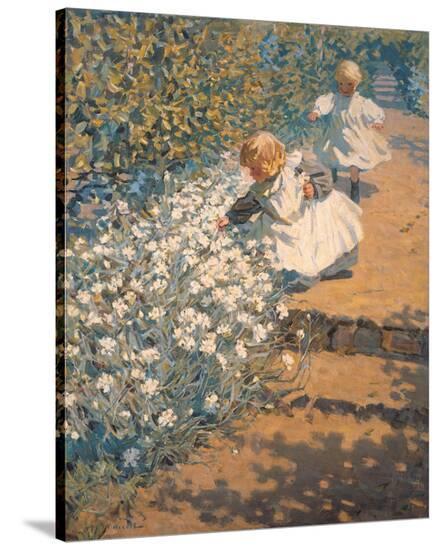 Picking Flowers-McNicoll-Stretched Canvas