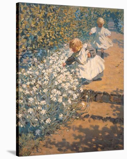 Picking Flowers-McNicoll-Stretched Canvas