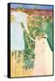 Picking Fruit-Mary Cassatt-Framed Stretched Canvas