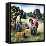 "Picking Grapefruit,"February 1, 1942-John S. Demartelly-Framed Stretched Canvas