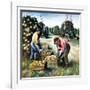 "Picking Grapefruit,"February 1, 1942-John S. Demartelly-Framed Giclee Print