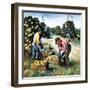 "Picking Grapefruit,"February 1, 1942-John S. Demartelly-Framed Giclee Print