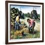 "Picking Grapefruit,"February 1, 1942-John S. Demartelly-Framed Giclee Print