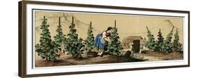 Picking Grapes in a Vineyard-null-Framed Premium Giclee Print