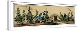 Picking Grapes in a Vineyard-null-Framed Premium Giclee Print