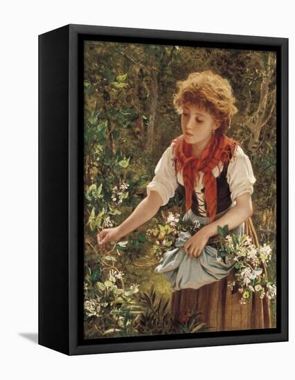 Picking Honeysuckle-Sophie Anderson-Framed Stretched Canvas