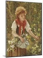 Picking Honeysuckle-Sophie Anderson-Mounted Giclee Print