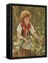 Picking Honeysuckle-Sophie Anderson-Framed Stretched Canvas