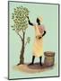 Picking Mangos-Judy Mastrangelo-Mounted Premium Giclee Print