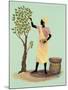 Picking Mangos-Judy Mastrangelo-Mounted Giclee Print