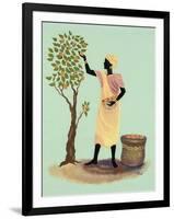 Picking Mangos-Judy Mastrangelo-Framed Giclee Print