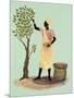 Picking Mangos-Judy Mastrangelo-Mounted Giclee Print