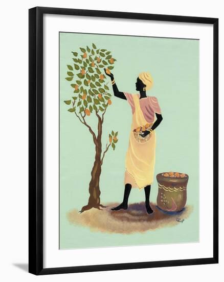 Picking Mangos-Judy Mastrangelo-Framed Giclee Print