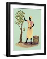 Picking Mangos-Judy Mastrangelo-Framed Giclee Print