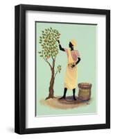 Picking Mangos-Judy Mastrangelo-Framed Giclee Print