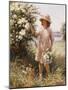 Picking May Blossom-William Kay Blacklok-Mounted Giclee Print