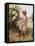 Picking May Blossom-William Kay Blacklok-Framed Stretched Canvas