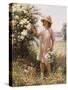 Picking May Blossom-William Kay Blacklok-Stretched Canvas