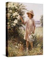 Picking May Blossom-William Kay Blacklok-Stretched Canvas