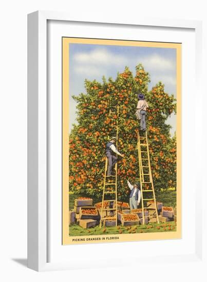 Picking Oranges in Florida-null-Framed Art Print