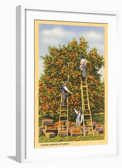 Picking Oranges in Florida-null-Framed Art Print