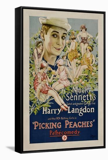 PICKING PEACHES, Harry Langdon with the 1924 Bathing Girls, 1924.-null-Framed Stretched Canvas