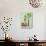 Picking Pears-Judy Mastrangelo-Giclee Print displayed on a wall