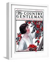 "Picking Pints of Cherries," Country Gentleman Cover, May 19, 1923-Katherine R. Wireman-Framed Giclee Print